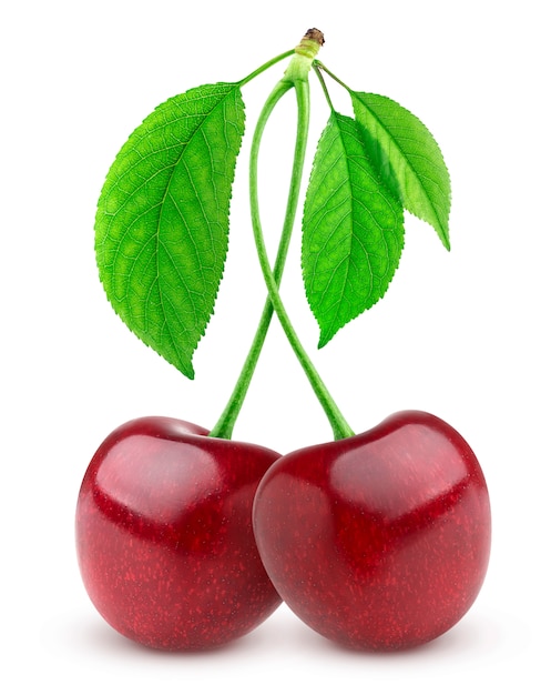 two-fresh-cherries-white-background_88281-12.jpg