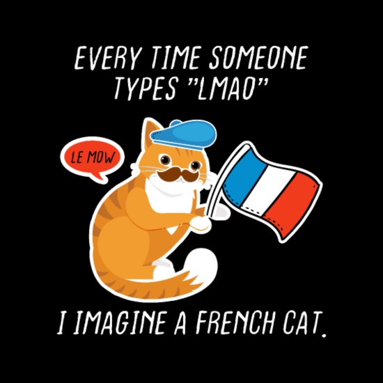 french-cat-le-mow-lmao-meow-full-color-mug.jpg