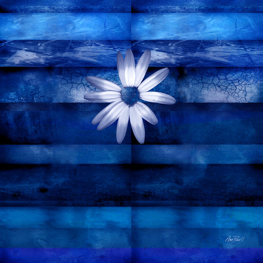 white-daisy-on-blue-abstract-art-ann-powell.jpg