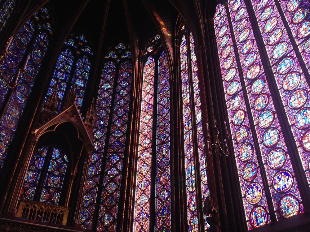 Purple stained glass of cathedral photo – Free Glass Image on Unsplash