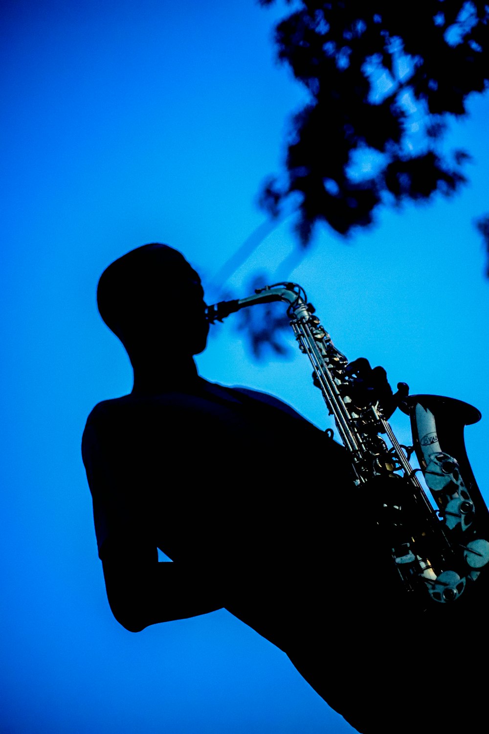 500+ Saxophone Pictures | Download Free Images on Unsplash