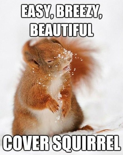 Cover-squirrel.jpg