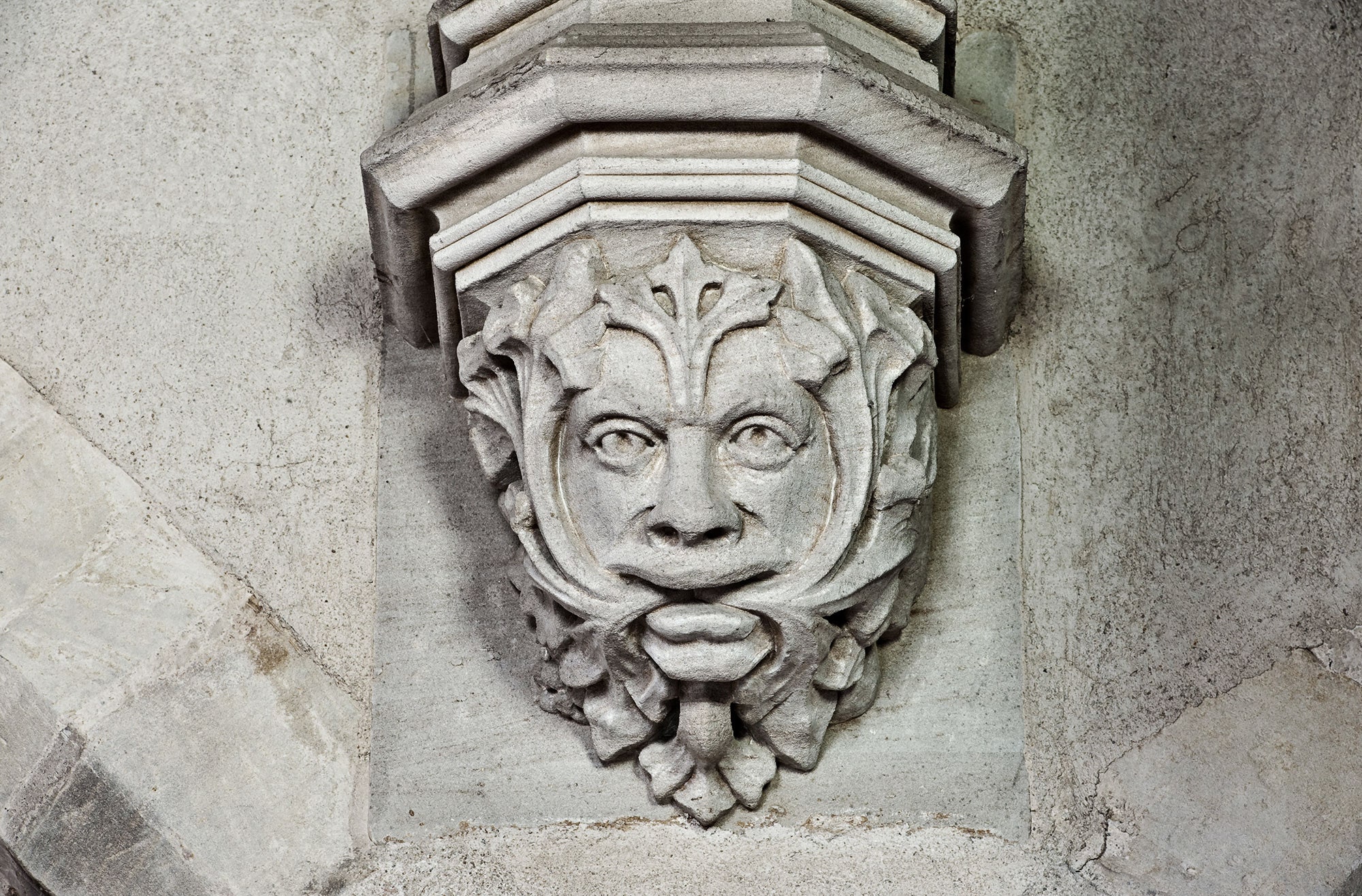 The Remarkable Persistence of the Green Man | The New Yorker