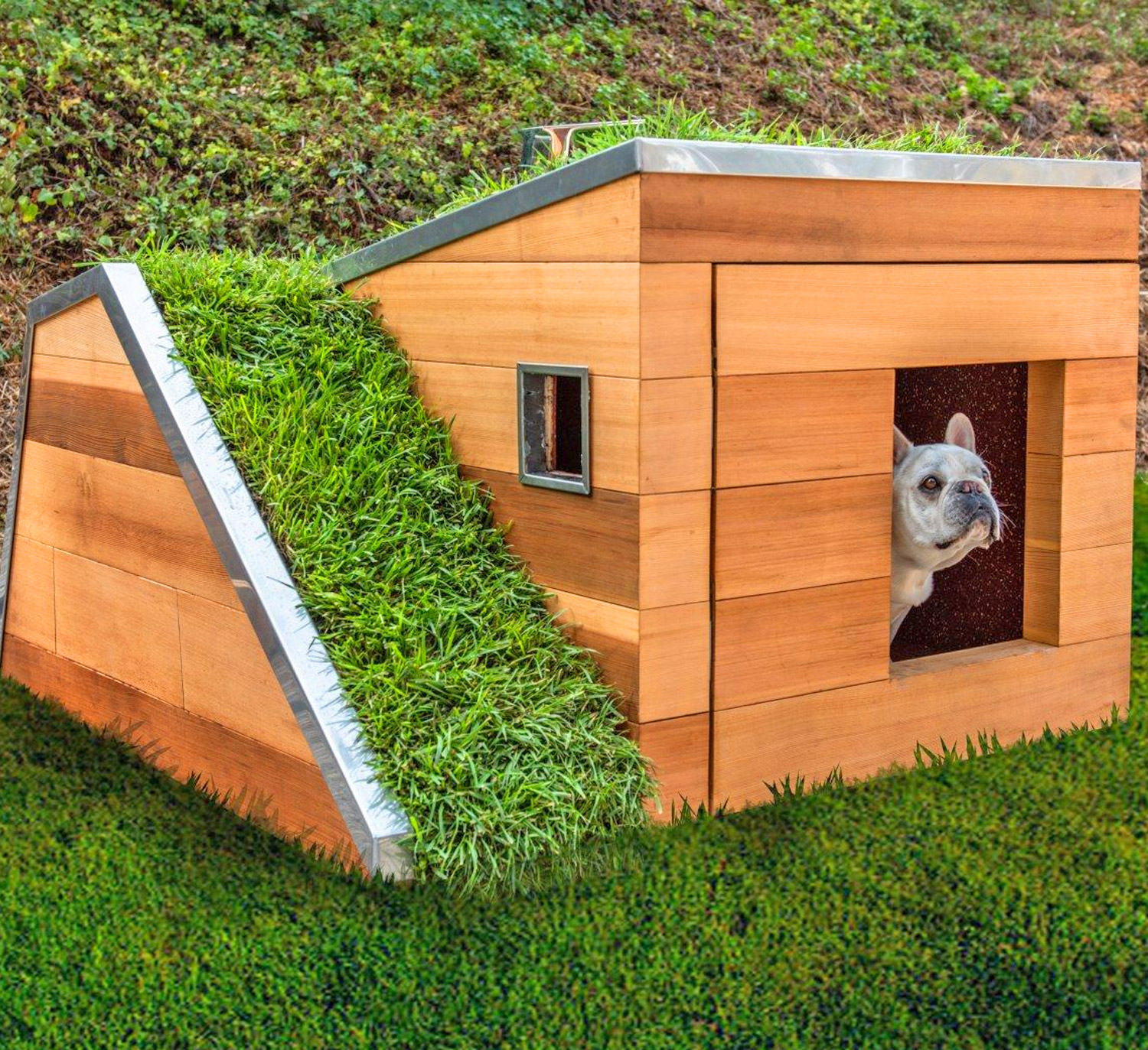 this-modern-dog-house-is-made-with-grass-and-an-automatic-water-faucet-0.jpg