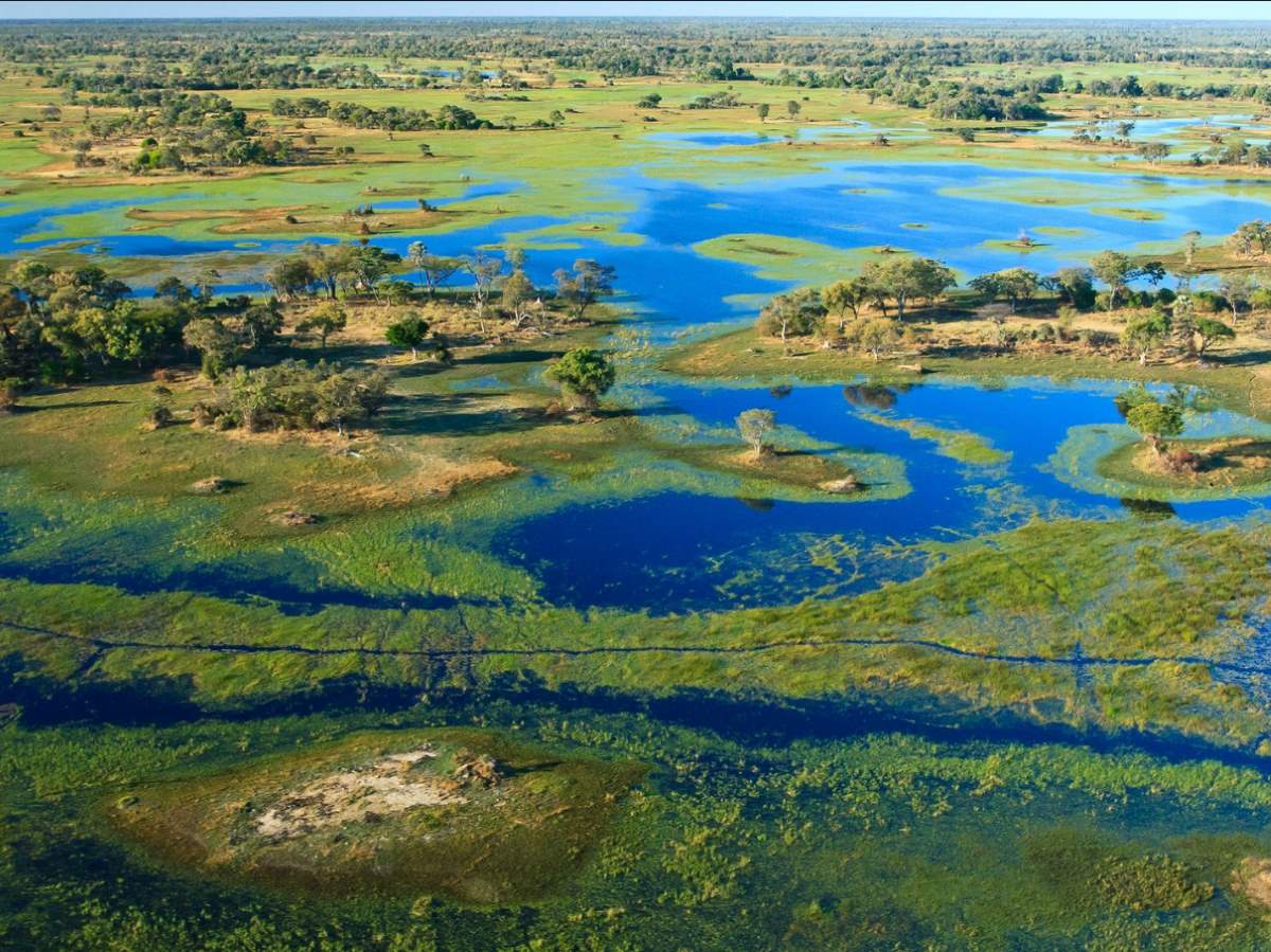 Okavango-Delta-Botswana.jpg