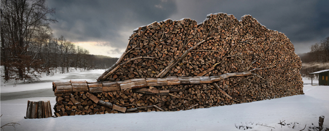 wood-pile-tree.png
