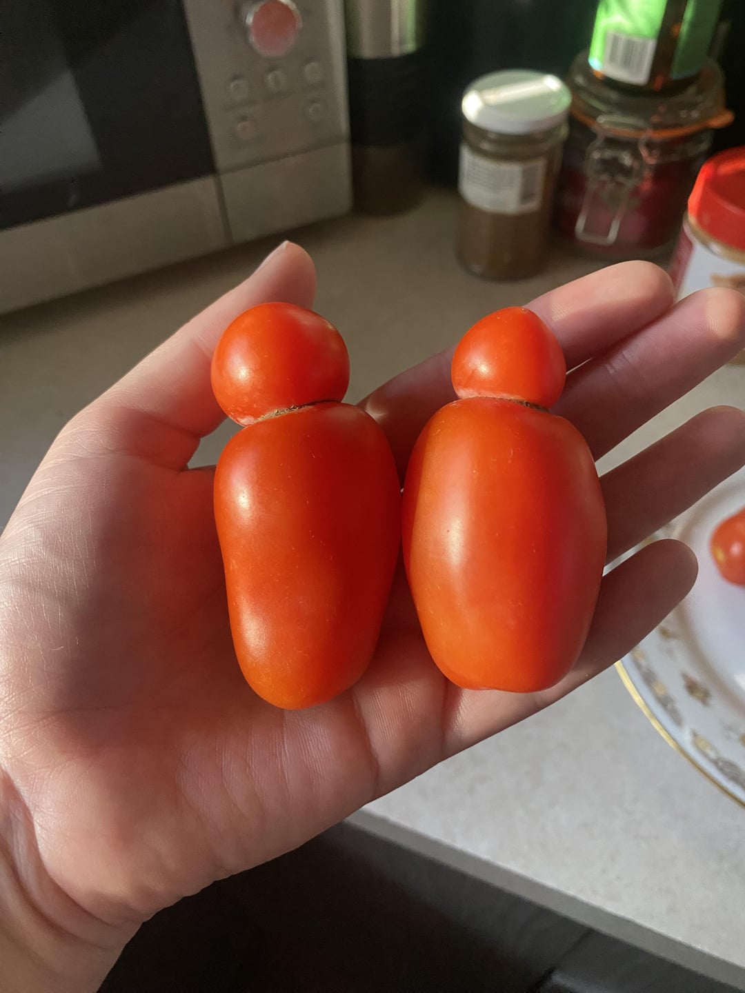 small-roma-tomatoes-that-look-like-people-v0-yoeqamddjkoc1.jpeg