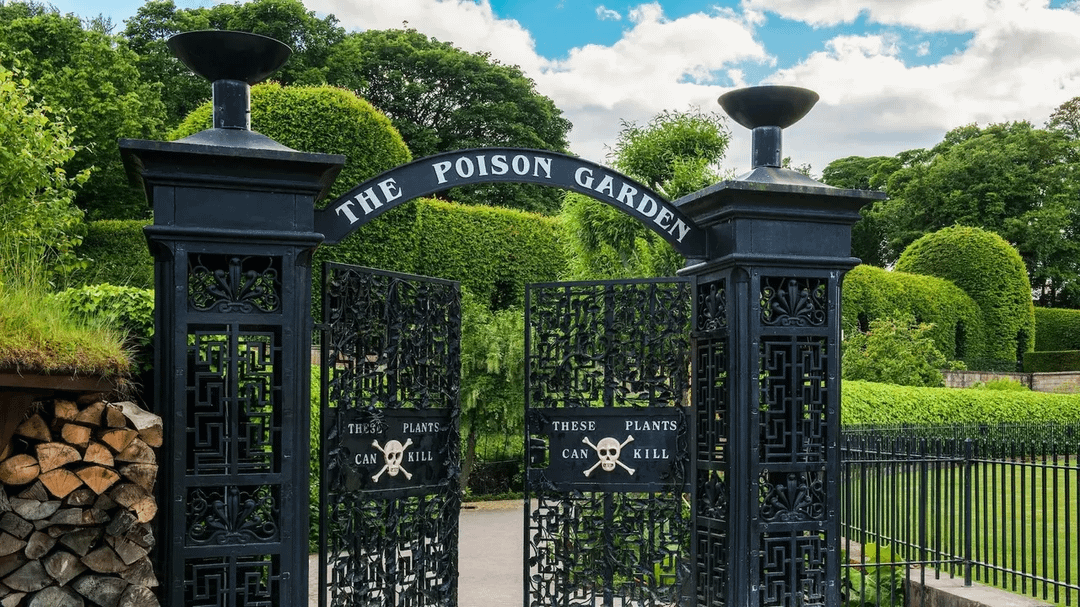 the-poison-garden-at-the-alnwick-garden-in-northumberland-v0-pe4ft9k1cvdc1.png