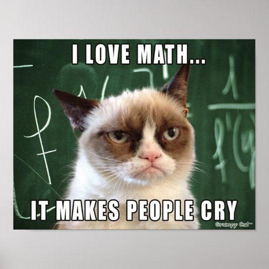 grumpy_cat_poster_i_love_math_it_makes_people_cry_poster-r91cc8357f25340ff8fef39c8418b3bf8_wvt_8byvr_540.jpg