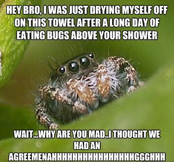 misunderstood-spider-meme-eating-bugs.jpg