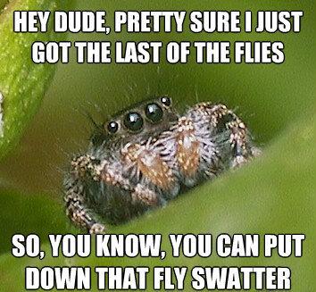 misunderstood-spider-meme-flies-fly-swatter.jpg
