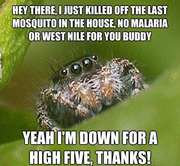 misunderstood-spider-meme-high-five.jpg