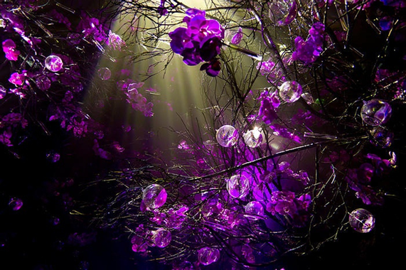 cute-purple-desktop-image.jpg