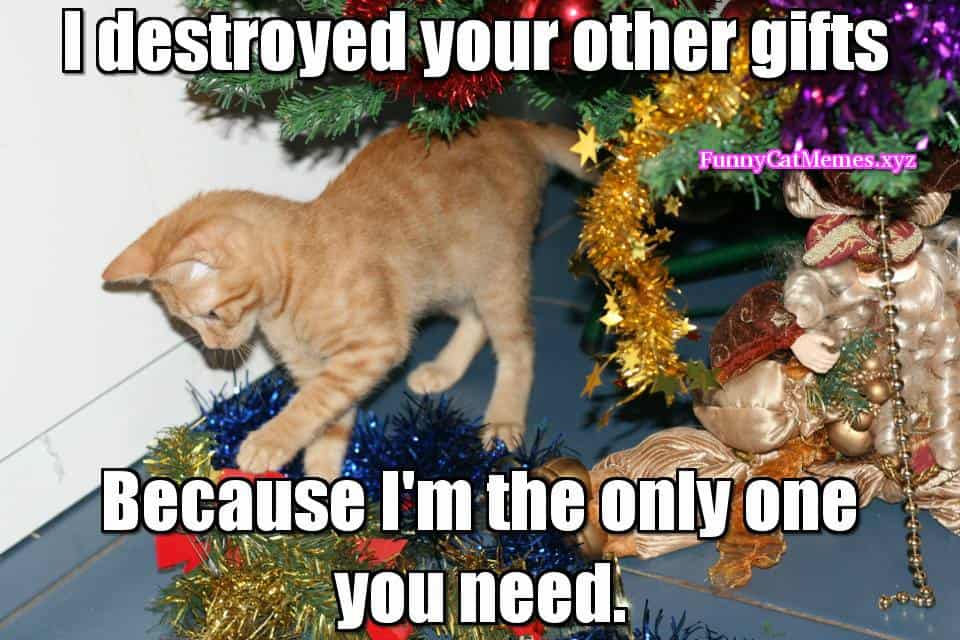 i-destroyed-christmas-meme.jpg
