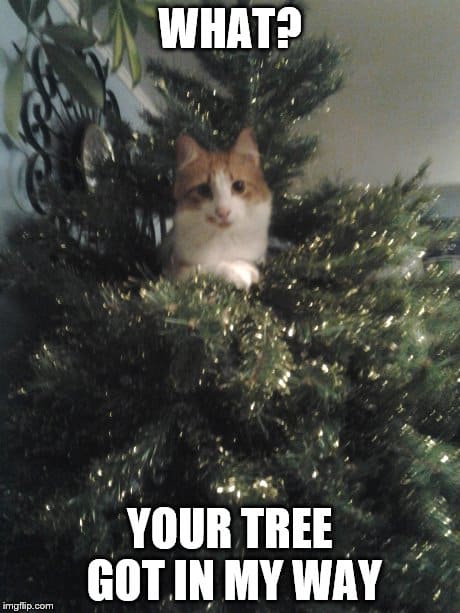what-your-tree-got-in-my-way-funny-christmas-memes.jpg