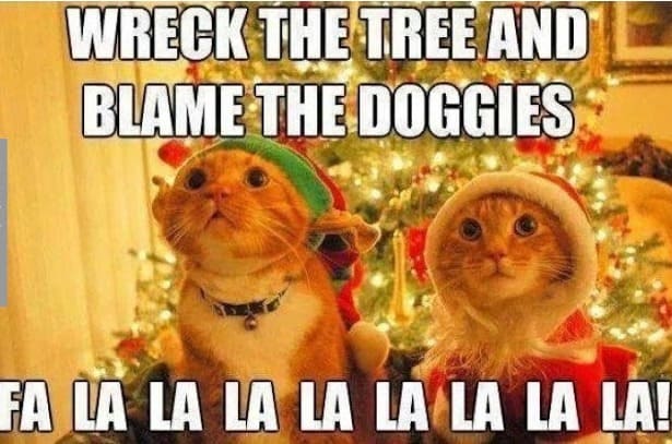 wreck-the-tree-merry-christmas-memes.jpg