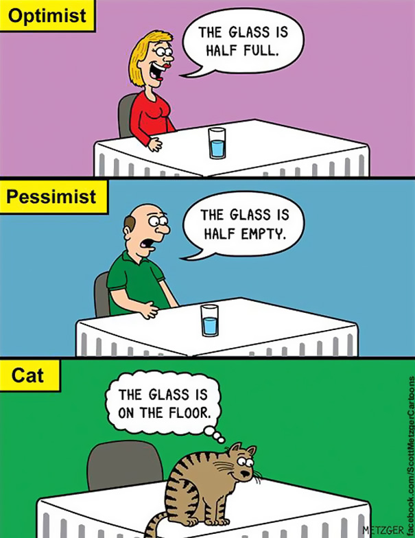 funny-cat-comics-scott-metzger-cartoons-44-5b0eb1d9ba4ba__605.jpg