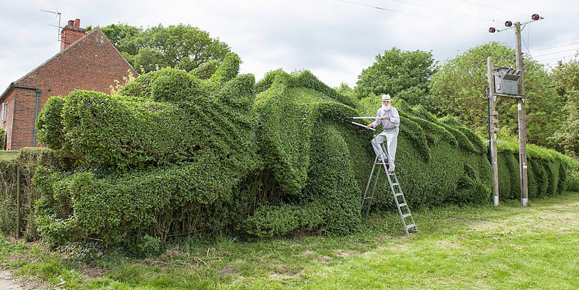 dragon-hedge-topiary-green-sculpture-john-brooker-fb.jpg