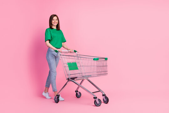Full Shopping Cart Images – Browse 38,304 Stock Photos, Vectors, and Video  | Adobe Stock