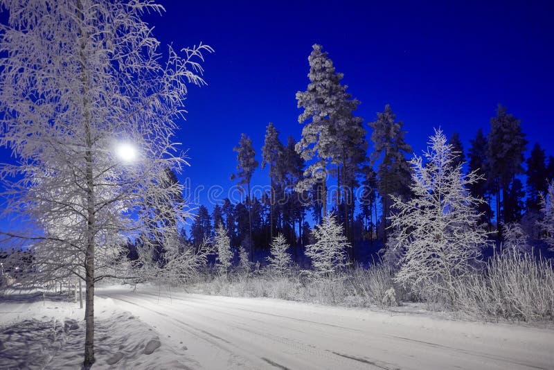 cold-winter-night-finland-road-peaceful-winter-night-scene-under-beautiful-blue-sky-snow-cowered-trees-very-cold-135178057.jpg