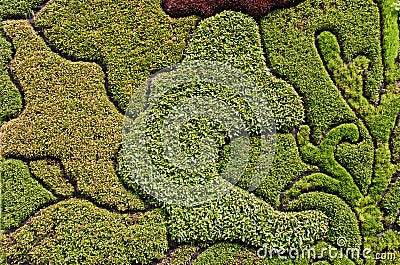 mosaic-pattern-different-plants-decorative-artistic-green-33238736.jpg