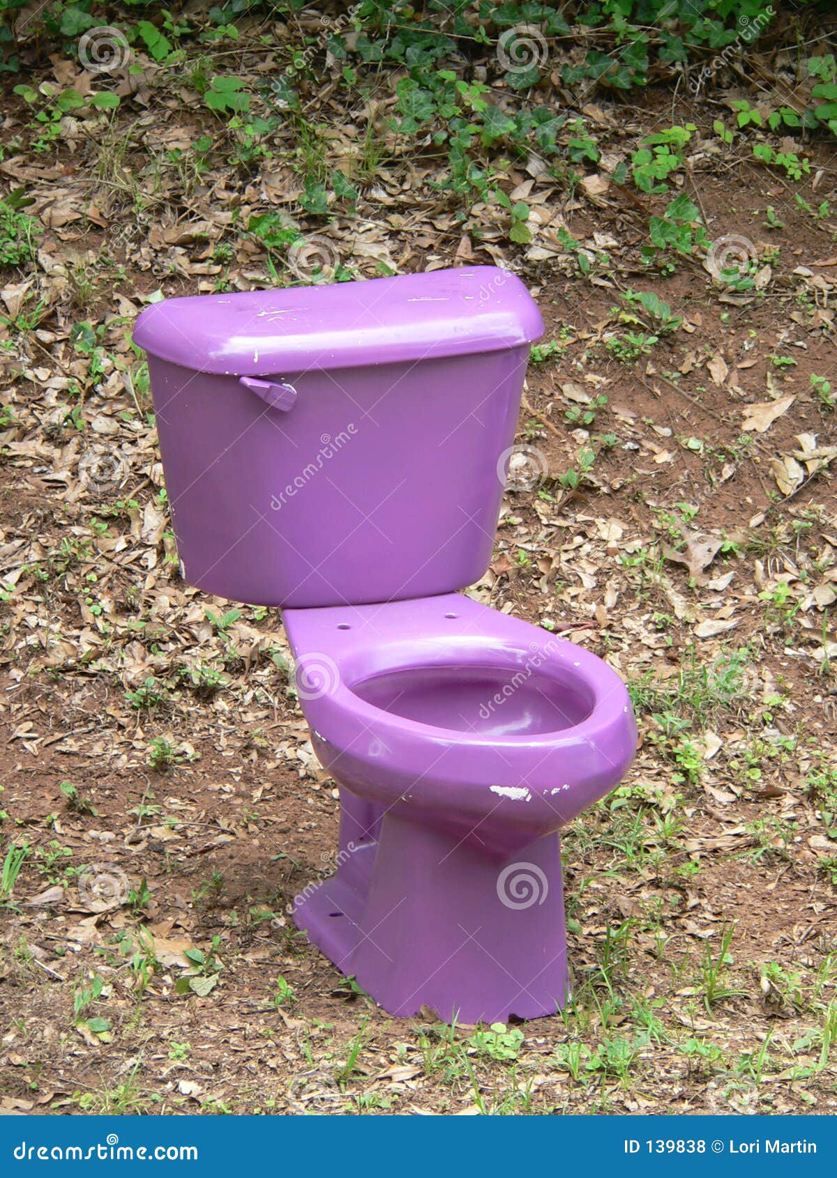 Purple Toilet stock photo. Image of outdoor, restroom, trashy - 139838