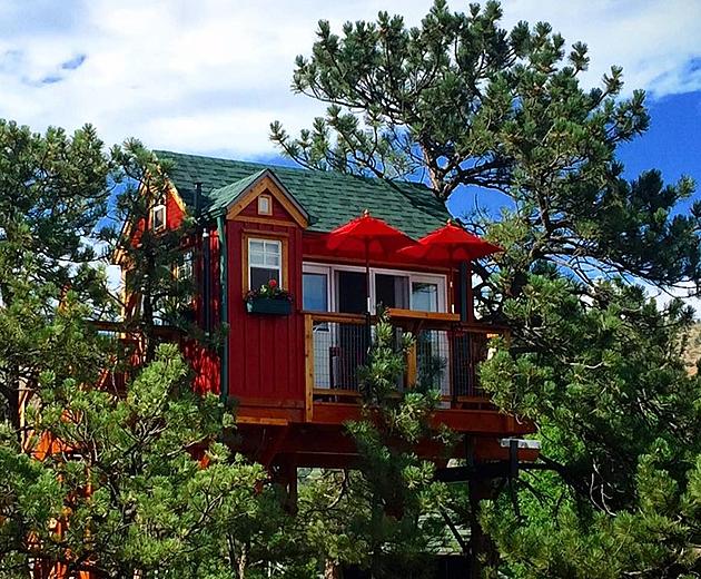 Stay the Night in Lyon's Little Red Tree House