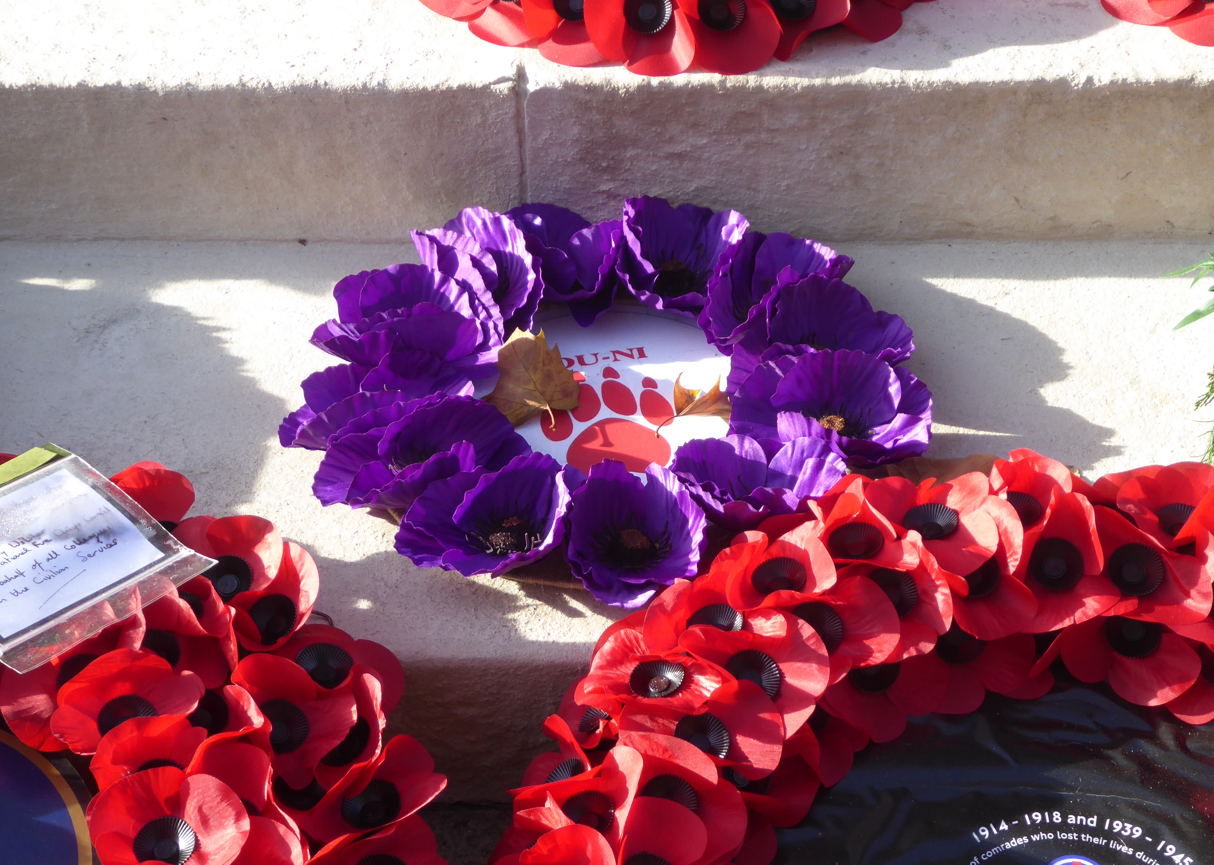 Purple_Wreath_at_the_Cenotaph%2C_London_in_2018.jpg