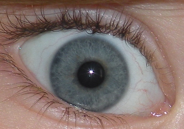 Blue-green_eye_closeup.JPG