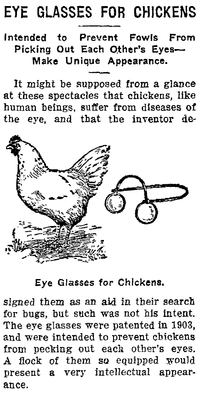 200px-Eye_Glasses_For_Chickens.png