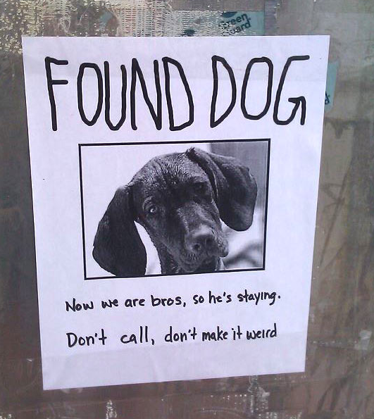 The 20 Funniest Lost & Found Signs Ever (GALLERY)