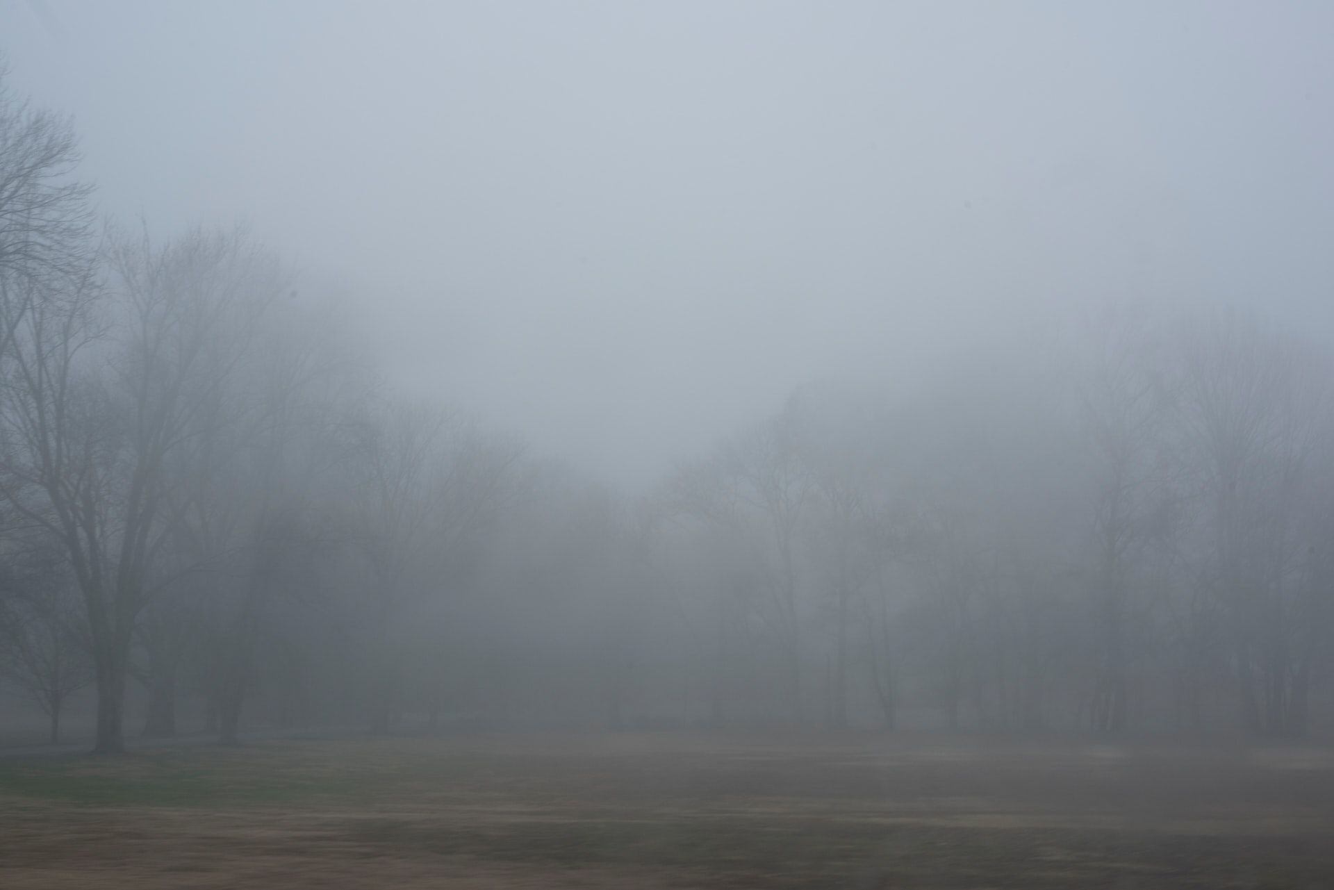 Breakdown: Why fog and clouds are different