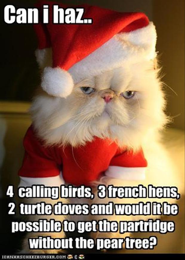 Can-I-Has-Funny-Cat-Christmas-Meme.jpg