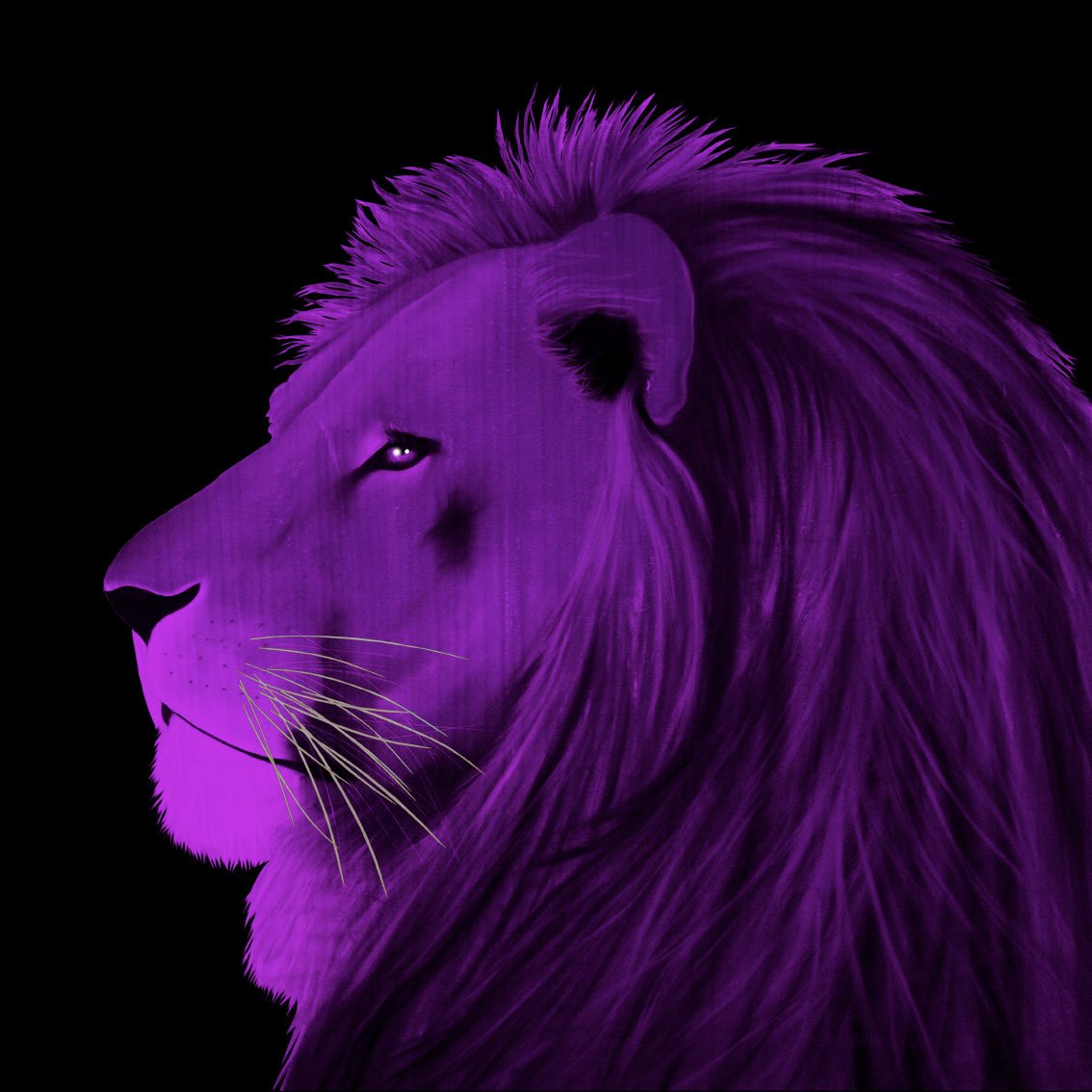 LION-VIOLET-Colorpsychology.jpg