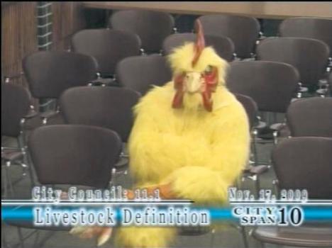 Person in chicken costume interrupts Durango council meeting – The Denver  Post