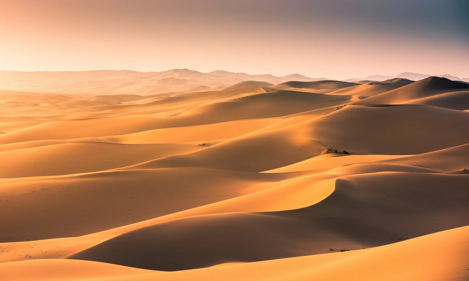 sahara-desert-dunes-scaled.jpg