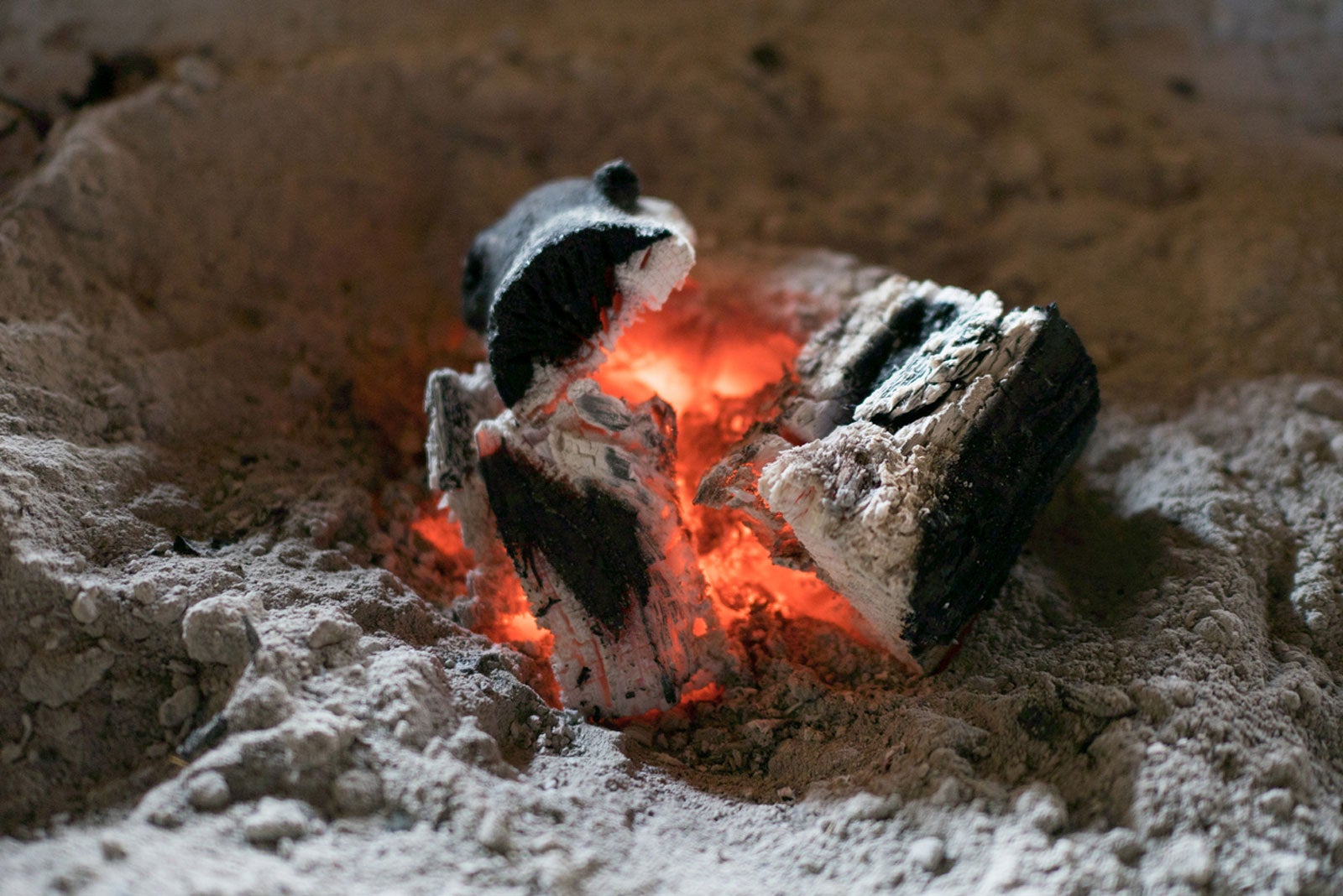 Composting Ashes: Is Ash Good For Compost?