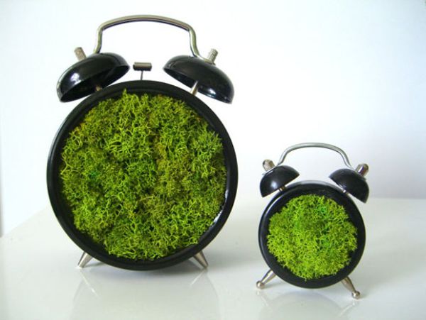 Green-Moss-art.jpg