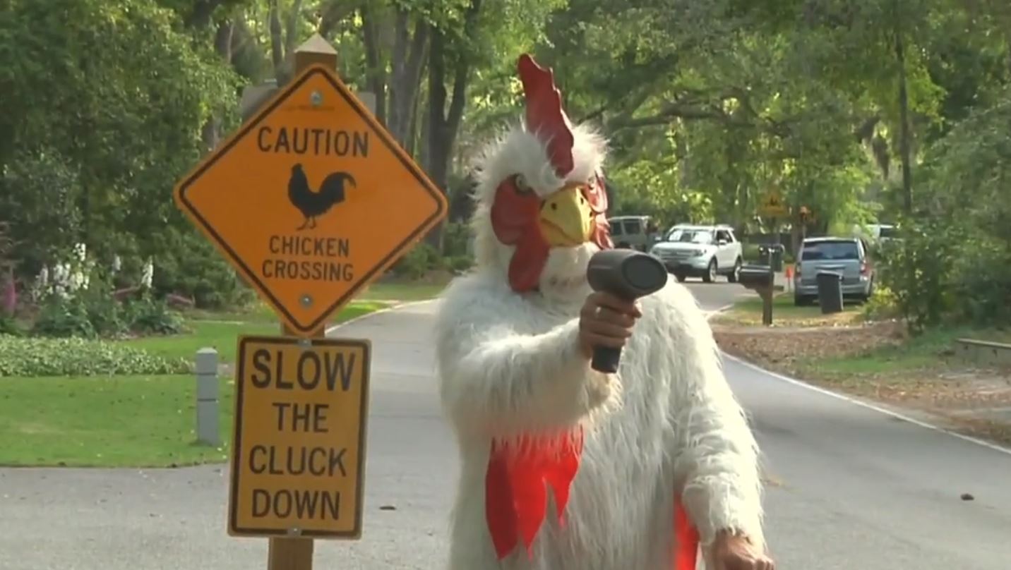 South Carolina man dresses in chicken suit to make cars stop speeding