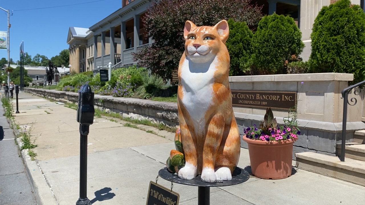 Off the Beaten Path: Cat'n Around Catskill
