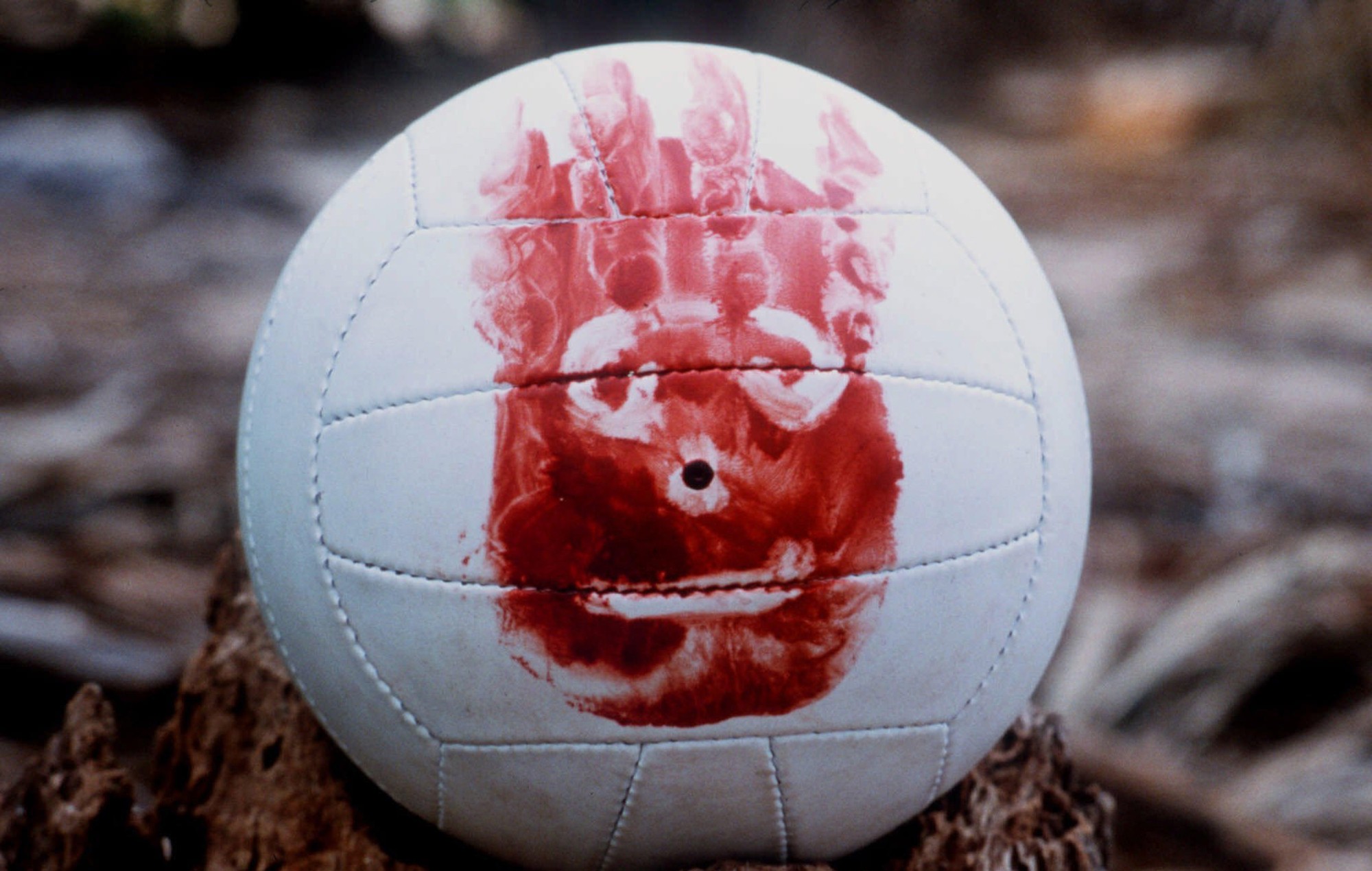 Wilson-ball-from-Cast-Away.jpg