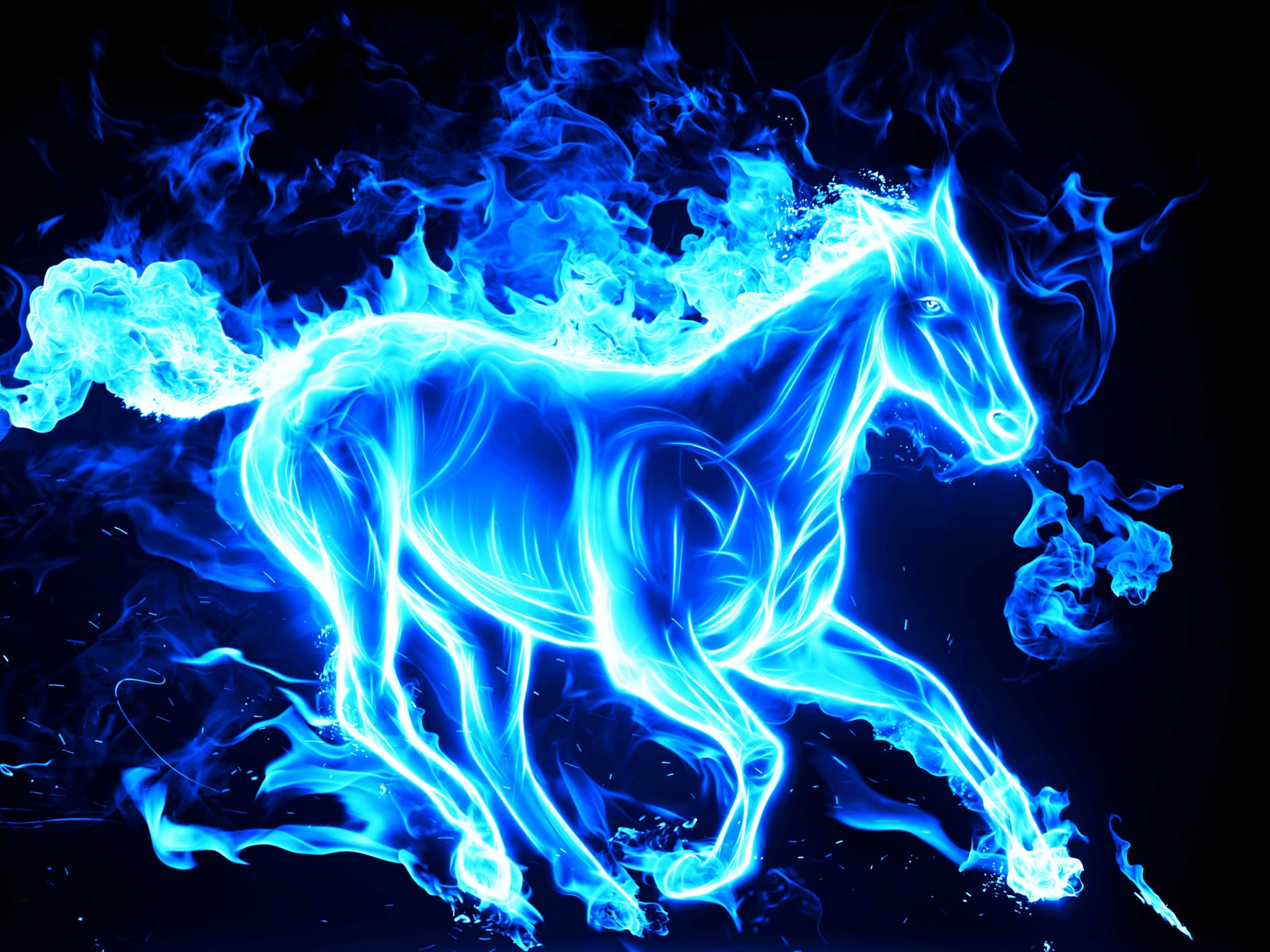 Horse-on-artistic-fire-pictures.jpeg