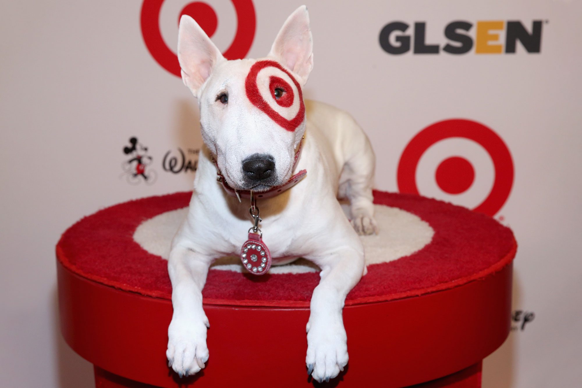 bullseye-the-target-dog-GettyImages-457402800-MLedit.jpg