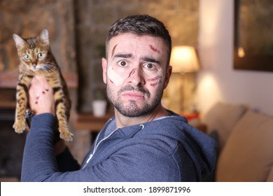 535 Cat Attacking Human Images, Stock Photos & Vectors | Shutterstock
